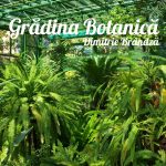 muzee kid-friendly gradina botanica gokid
