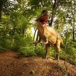 dino-parc-rasnov-lumea-dinozaurilor