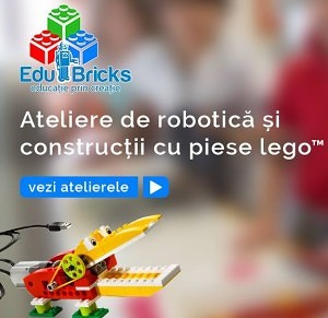 Ateliere de robotica si constructii EduBricks