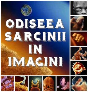 odiseea-sarcinii-in-imagini-colaj-text