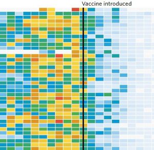 Efectele campaniilor de vaccinare