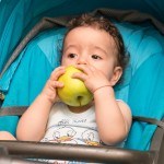 Nutriția copilului. Un seminar vitaminizant pentru părinți și copii