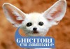 ghicitori despre animale