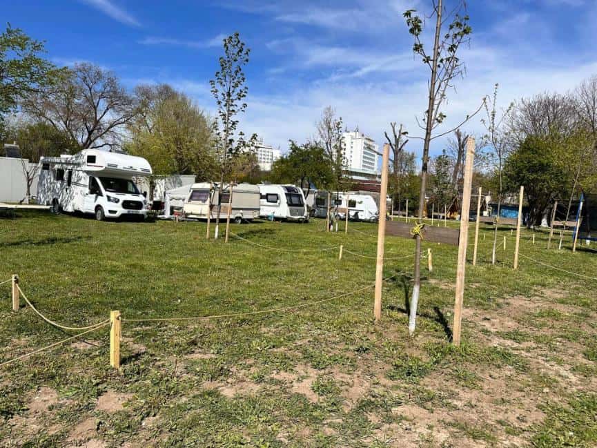 camping la mare Bucuria eforie copaci campare litoral