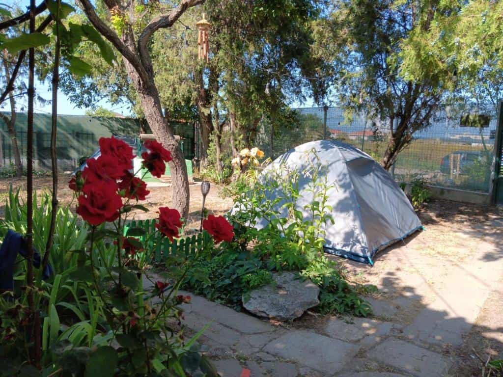 camping la mare Curtea Pescarusului din Vama Veche campare litoral