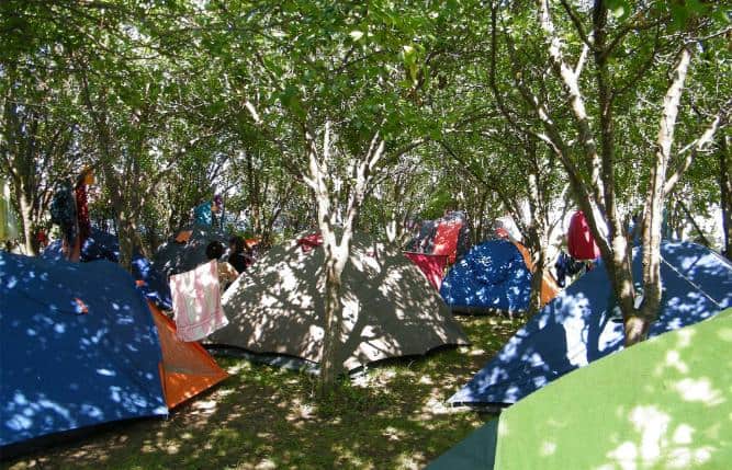 camping la mare costuri camping oz vama veche