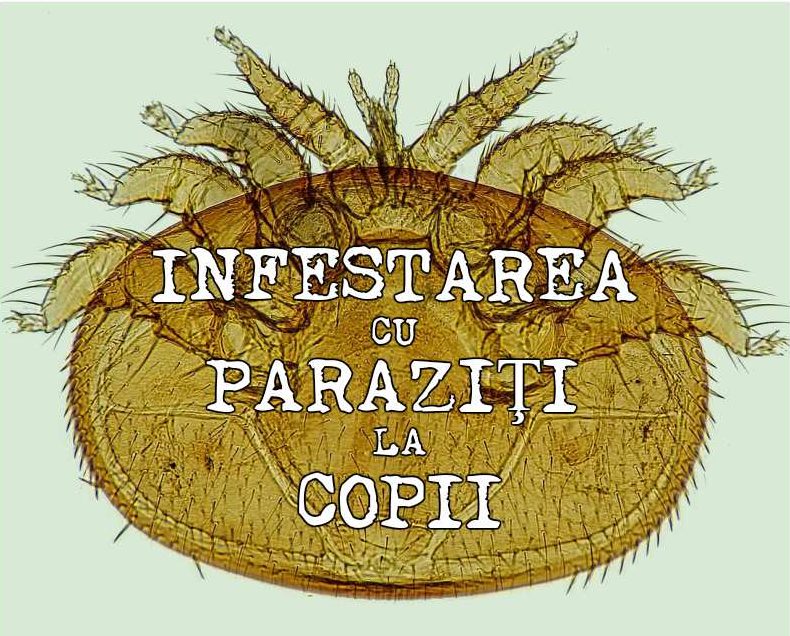 Infestarea cu Paraziţi la Copii. Lucruri Esenţiale de Ştiut despre ...