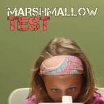 Testul Marshmallow. Amânarea Recompensei, Cheia Succesului