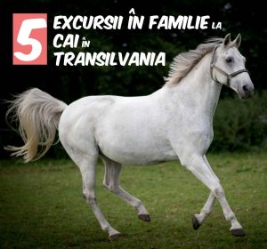 Excursii în Familie la Cai în Transilvania