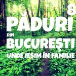Păduri Bucureşti ieşim în familie.jpg