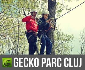 Gecko Parc de Aventură Kid-Friendly Cluj rep