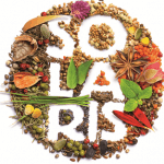 logo Solaris1
