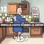 12 Animatii de Exceptie cu Animale de Companie R