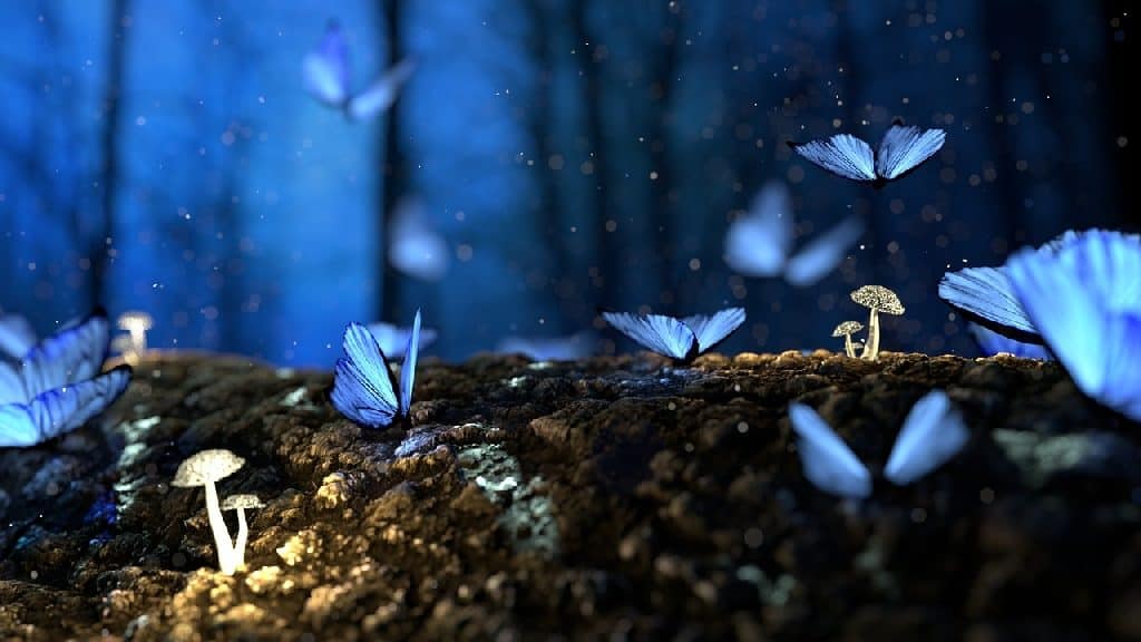 Povestile Ewei: Cap. 10. Copacul magic. Lumea nevazuta Poveste terapeutica fluturi albastri