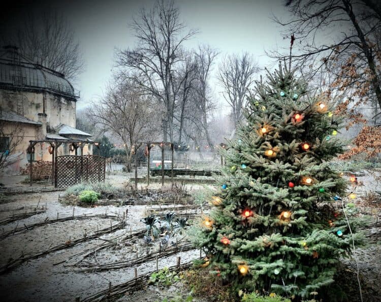 gradina botanica sarbatori