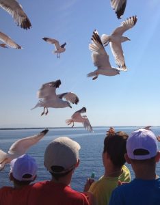 Tabara Internationala de Vara pe Insula Thassos, Grecia copii pescarusi