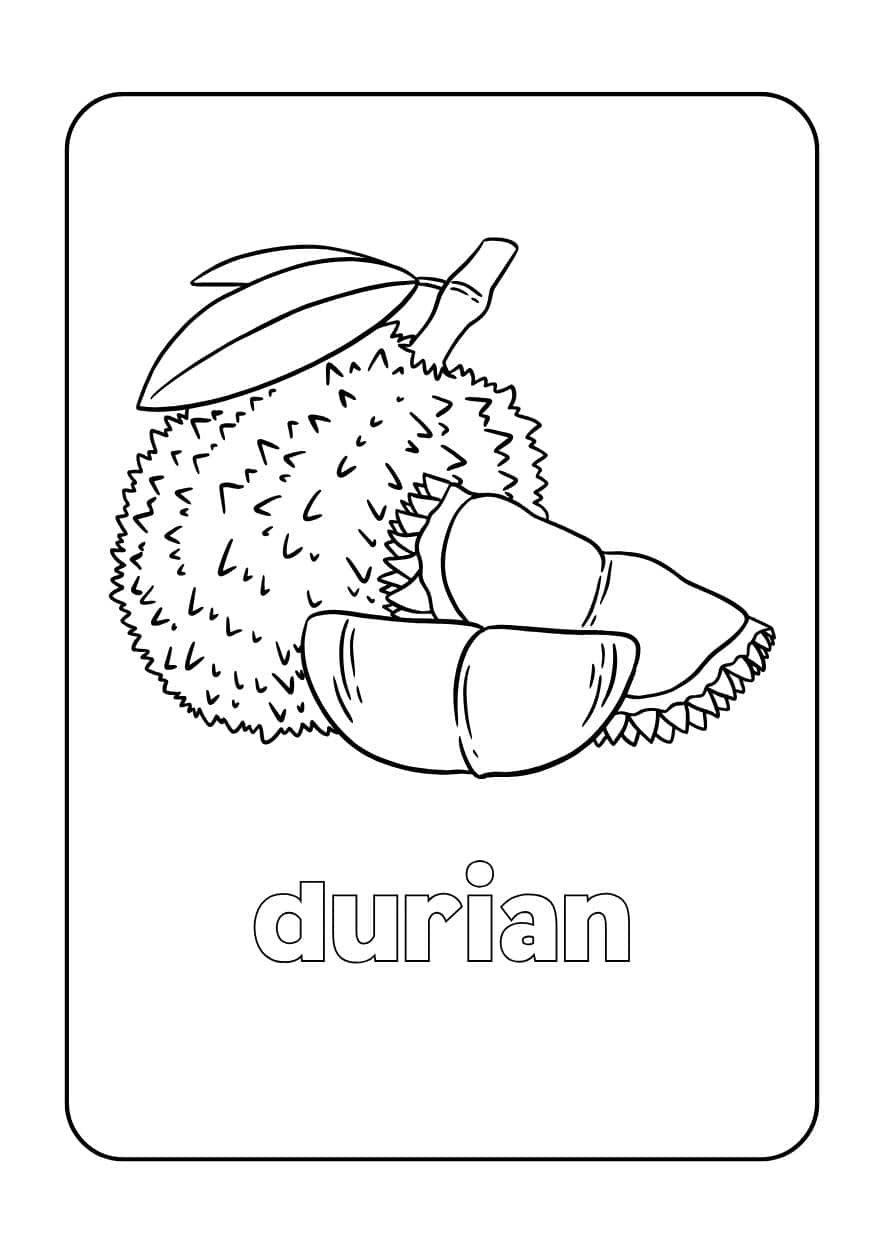 durian planse de colorat cu fructe