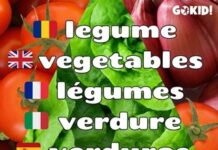 Legume cu Poze – Ordonate Alfabetic. Denumiri Traduse în Engleză, Franceză, Italiană, Spaniolă şi Germană legume-cu-poze-denumiri-traduse-in-engleza-franceza-italiana-spaniola-si-germana
