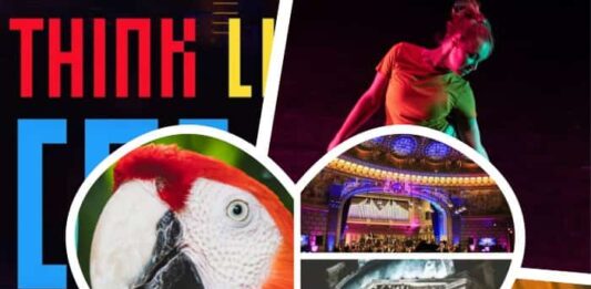 Activitati Placute Adulti Carantina, Izolare plictiseala gokid colaj