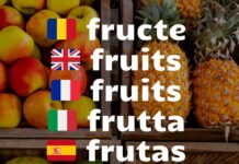 Fructe cu Poze Lista Alfabetic Engleza Franceza Italiana Spaniola Germana gokid