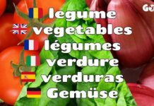 Legume cu Poze - Ordonate Alfabetic. Denumiri Traduse Engleza, Franceza, Italiana, Spaniola Germana