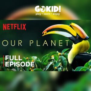 Planeta Noastra. Exceptionalul Serial Netflix Our Planet Gratuit Gokid Online