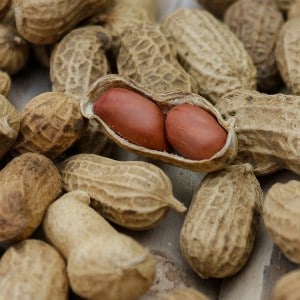 arahida (aluna de pamânt, aluna americana) Peanut cacahuète arachide maní Erdnuss fructe cu poze gokid