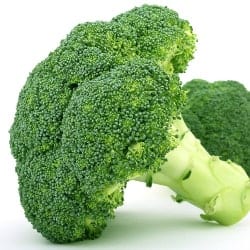 brocoli broccoli brócoli Brokkoli legume ordonate alfabetic