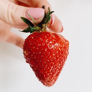 capsuna Strawberry fraise fragola fresa Erdbeere fructe cu poze gokid