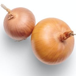 ceapă onion oignon cipolla cebolla Zwiebel legume ordonate alfabetic