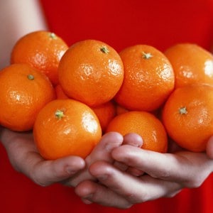 clementina Clementine clémentine fructe cu poze gokid
