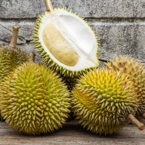 durian duriôn Durianfrucht fructe cu poze gokid