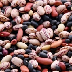fasole beans haricots fagioli frijoles Bohnen gokid legume ordonate alfabetic
