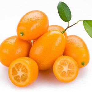 kumquat naranja china Kumquat fructe cu poze gokid