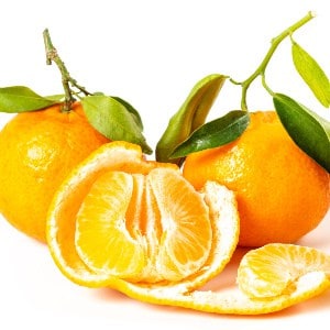 mandarina Mandarin mandarino Mandarine fructe cu poze gokid