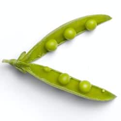 mazare green peas pois piselli chícharos Erbsen gokid legume ordonate alfabetic