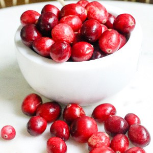 merisor Cranberry canneberge _ atoca mirtillo palustre arandano agrio Preiselbeere fructe cu poze go