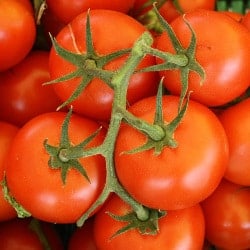 rosii tomatoes tomates pomodori Tomaten gokid legume ordonate alfabetic