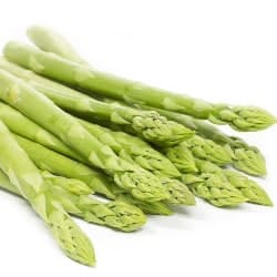 sparanghel asparagus asperges asparagi espárragos Spargel gokid legume ordonate alfabetic