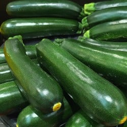 zucchini courgette calabacín gokid legume ordonate alfabetic