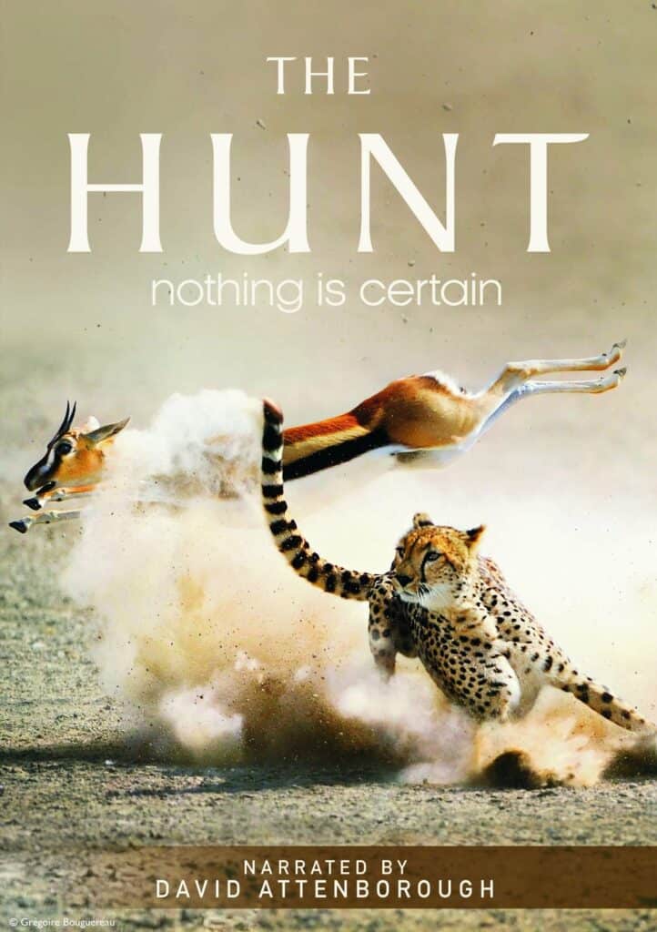 the hunt documentar TV