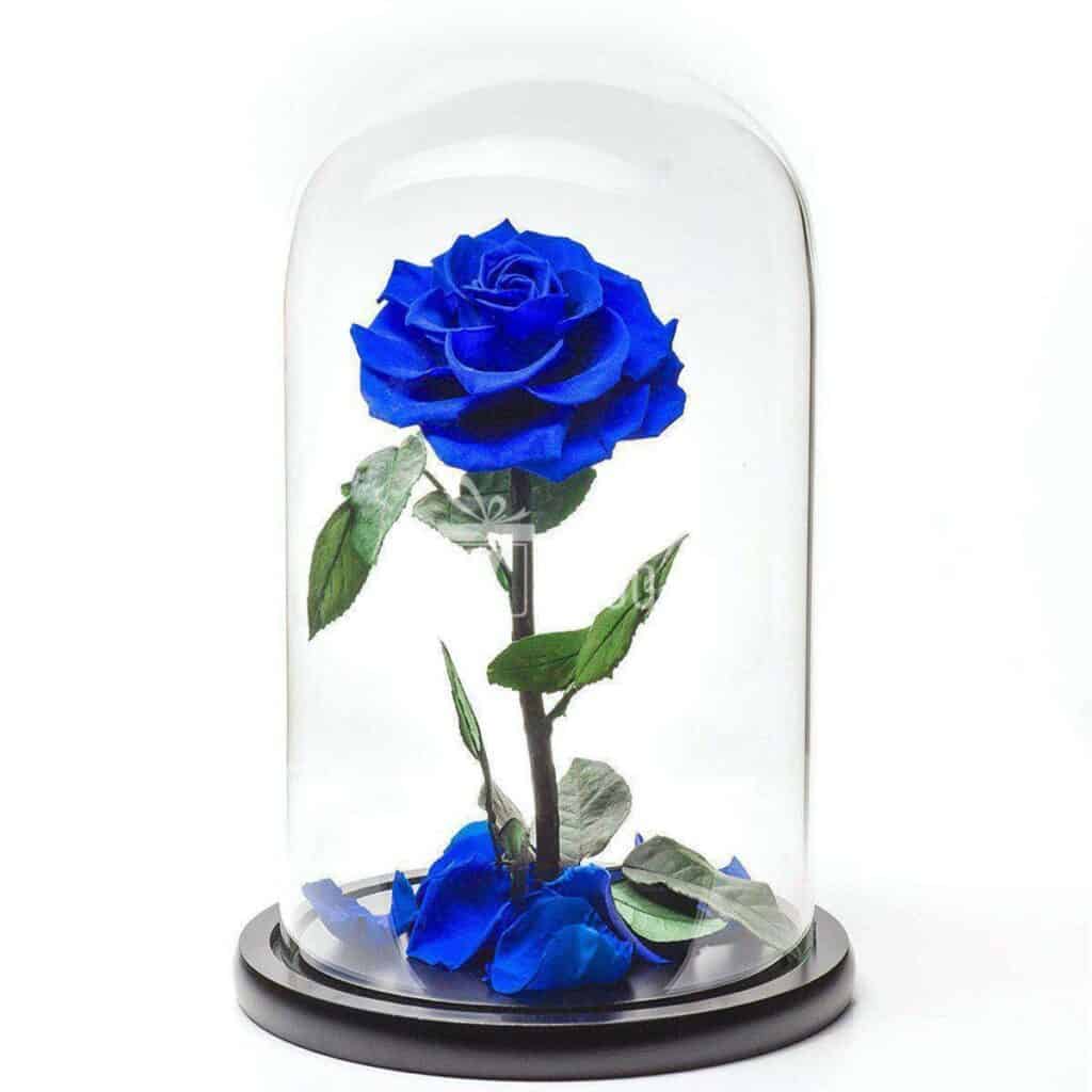 trandafir-criogenat-Bonita-albastru-in-cupola gokid cadou de craciun