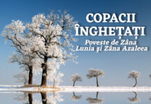 copacii inghetati poveste scoala de zane gokid