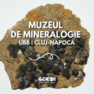 muzeul de mineralogie cluj napoca gokid