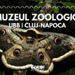 muzeul zoologic ubb cluj-napoca fb