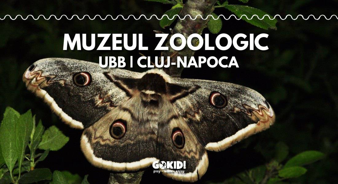 muzeul zoologic ubb cluj-napoca fb