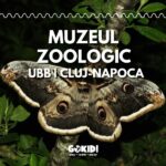 muzeul zoologic ubb cluj-napoca gokid