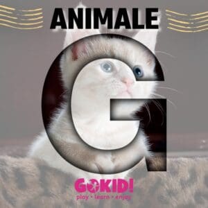 Animale cu G