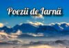 20 Poezii de Iarnă Minunate Scrise de Poeți Consacrați ai Literaturii Române poezii de iarna