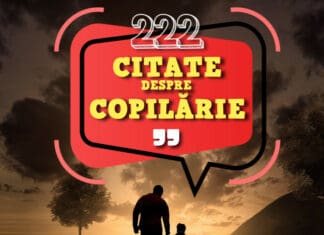 citate despre copilarie gokid